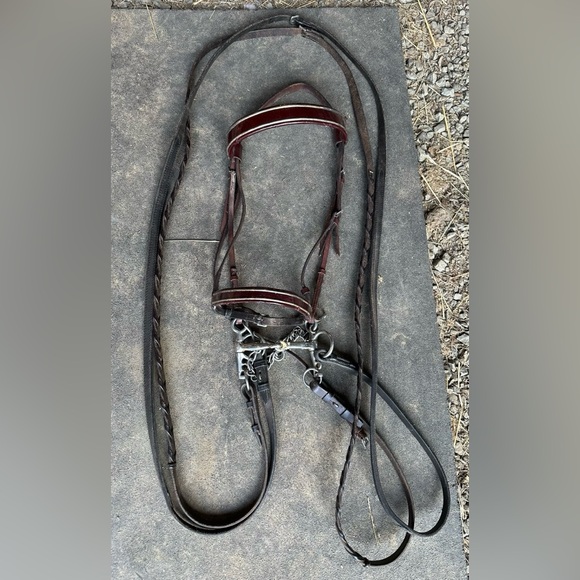 Saddle seat bridle - Picture 1 of 1